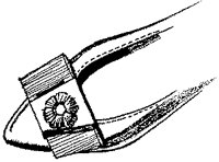 ATV50028.TIF