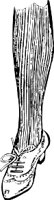 ATV00025.WMF