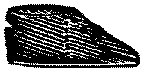 ATU50025.TIF