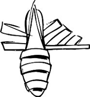 ATT00004.WMF