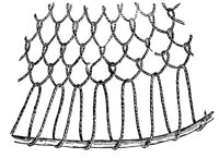 AVB50014.JPG