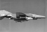 WEASEL3.GIF