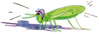 AVP50301.JPG