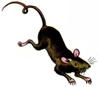 AVP50260.JPG