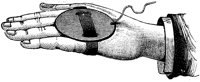 AZA50031.TIF