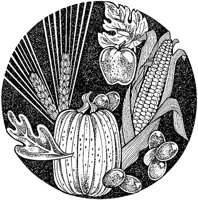 AZO50087.JPG