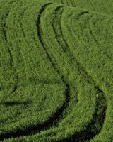 AZO50065.JPG