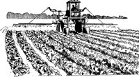 AZO50009.TIF