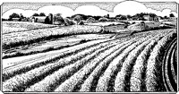 AZO50007.TIF