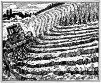 AZO50006.TIF