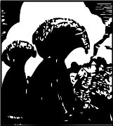 AZQ00061.WMF