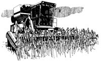 AZR50007.TIF