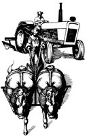 AZR50006.TIF