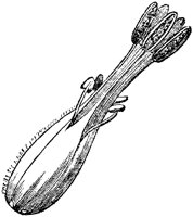 AZT50002.TIF
