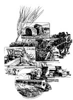 AZV50013.TIF