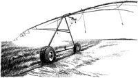 AZW50001.TIF