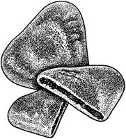BAZ50022.TIF