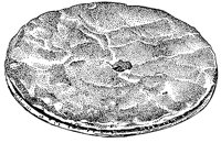 BAZ50005.TIF
