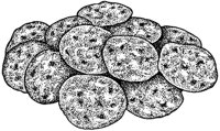 BAW50025.JPG