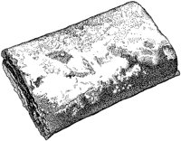 BAR50004.TIF