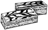 BAR50003.TIF