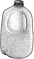 BCA50014.JPG