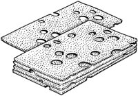 BBW50019.JPG