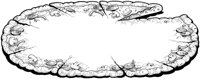 BCI50019.TIF