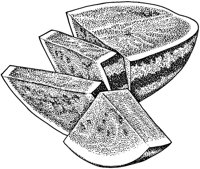 BDF50016.JPG