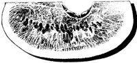 BDF50002.TIF