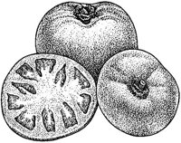 BDE50027.JPG
