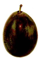 BDD50017.JPG