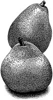 BDB50002.TIF
