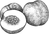 BDA50053.JPG