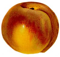 BDA50052.JPG