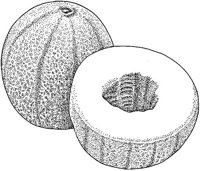 BCY50011.JPG