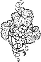 BCV50029.TIF