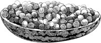 BCV50023.TIF