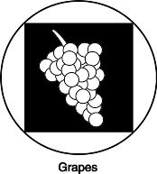 BCV00002.WMF