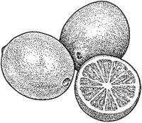BCR50044.JPG
