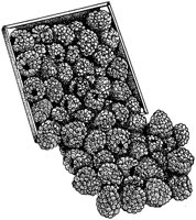 BCP50036.JPG