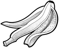 BCO50011.JPG