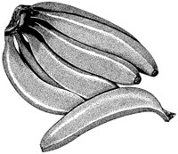 BCO50006.TIF