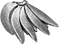 BCO50005.TIF