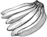 BCO50003.TIF