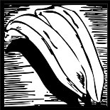 BCO00028.WMF