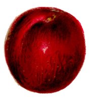 BCM50077.JPG