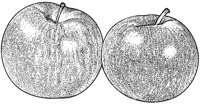 BCM50076.JPG