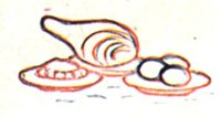 BDL50050.JPG