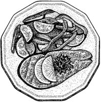 BDK50142.JPG